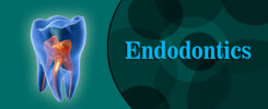 Endodontics-cover-image